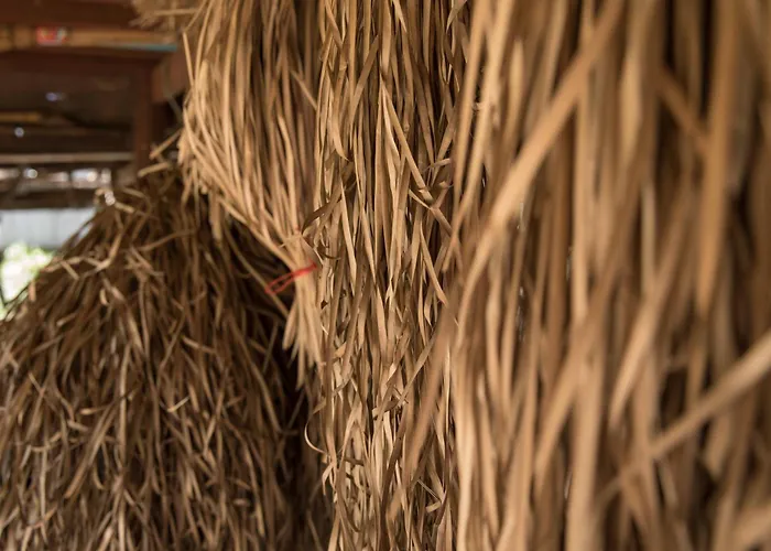 Séjour chez l'habitant Chansor 19 By Siem Reap Homesteading