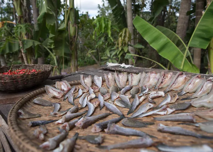 Chansor 19 By Siem Reap Homesteading Séjour chez l'habitant Phumi Trach Pok