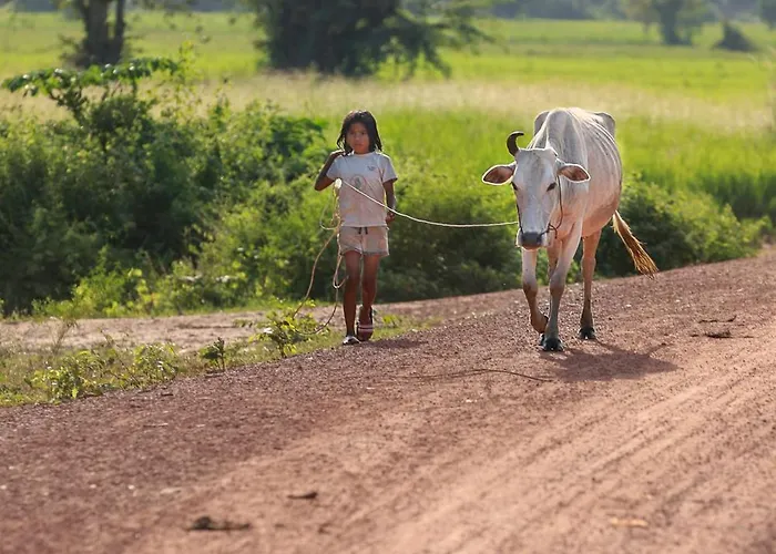 Chansor 19 By Siem Reap Homesteading Phumi Trach Pok