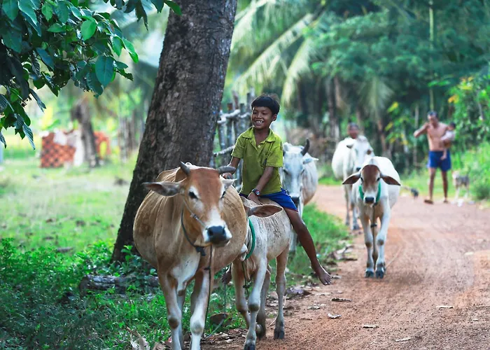 Séjour chez l'habitant Chansor 19 By Siem Reap Homesteading