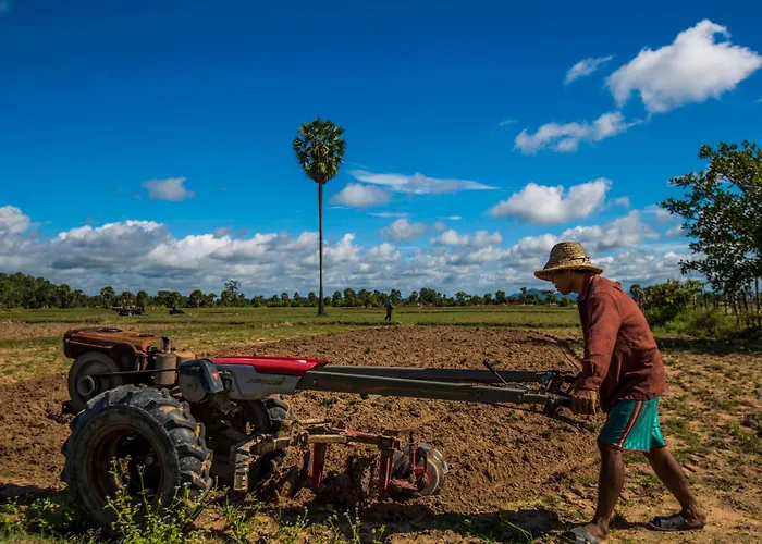 Chansor 19 By Siem Reap Homesteading * Phumi Trach Pok