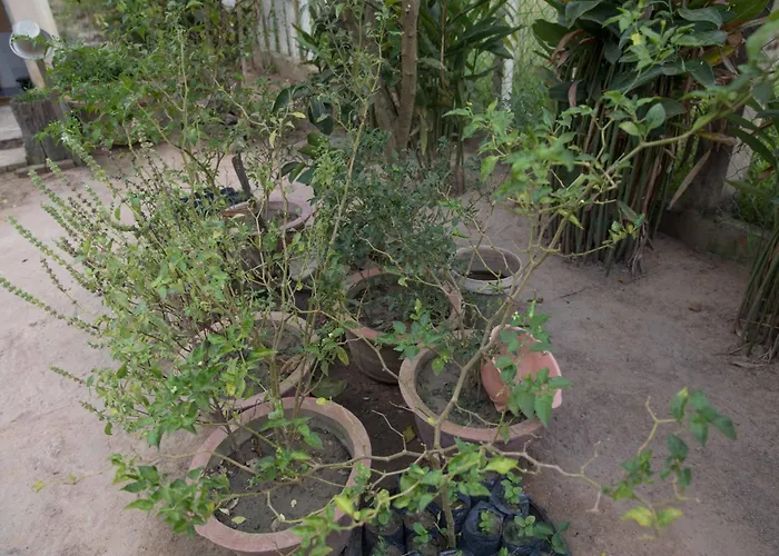 Chansor 19 By Siem Reap Homesteading Séjour chez l'habitant